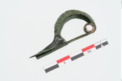 Foto von Bronzesanguisugafibel (NHMW-PRAE-025070)